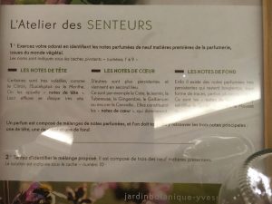 20200205 JARDIN DES SENTEURS -011