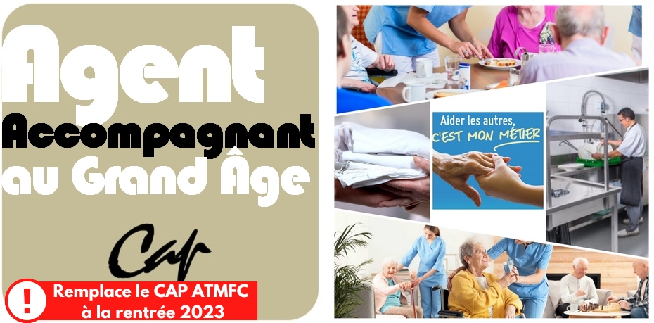  Certificat d’aptitude professionnelle (CAP)